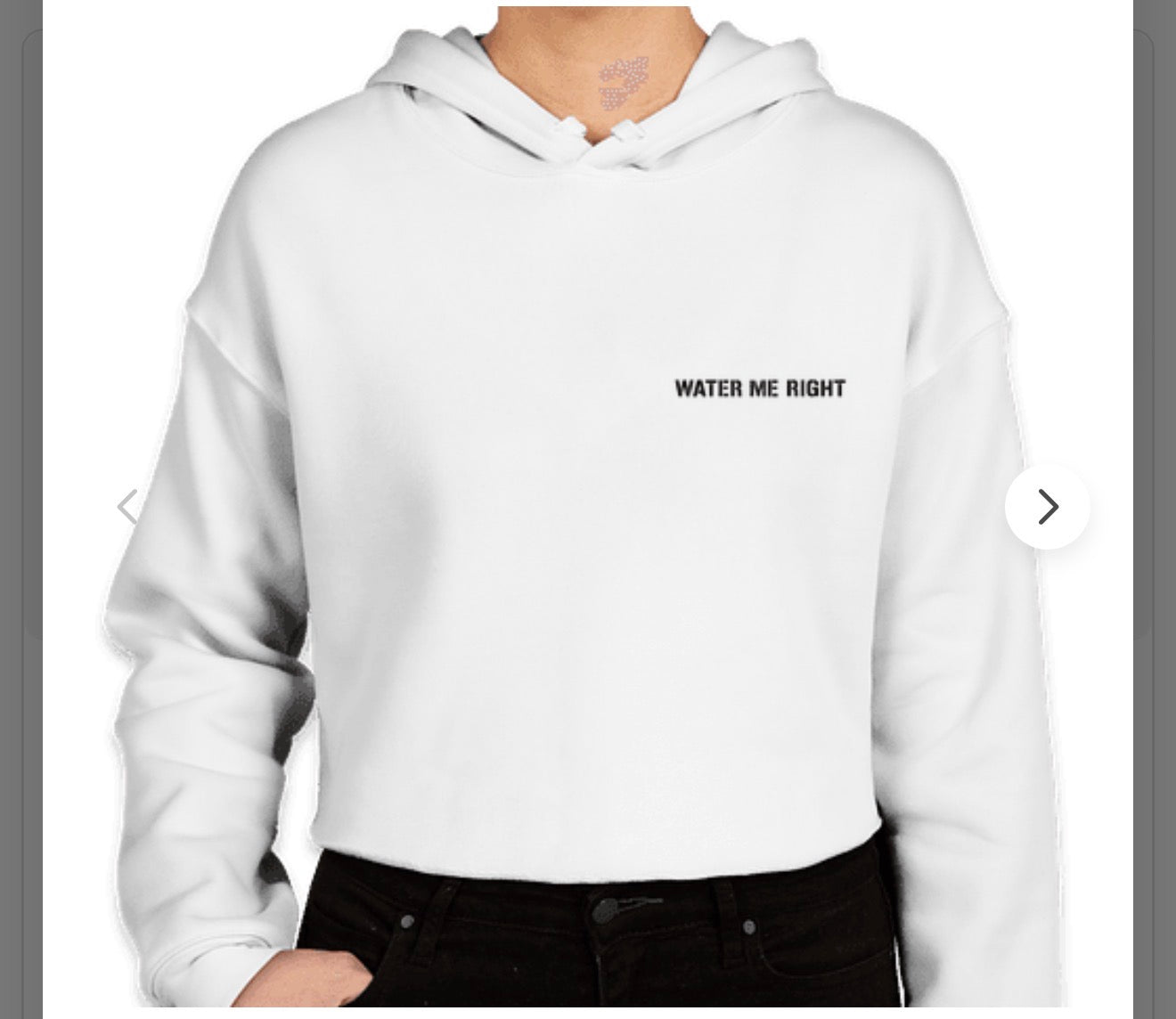 The Be Delusional Hoodies - Water Me Right® Collection